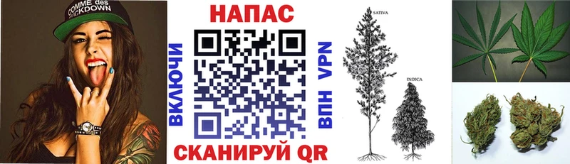 МАРИХУАНА ГИДРОПОН blacksprut вход Махачкала хочу наркоту